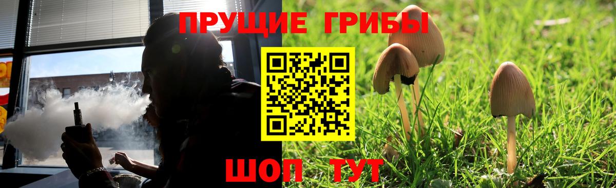 Мончегорск  Галлюциногенные грибы мухоморы  Вход с VPN 