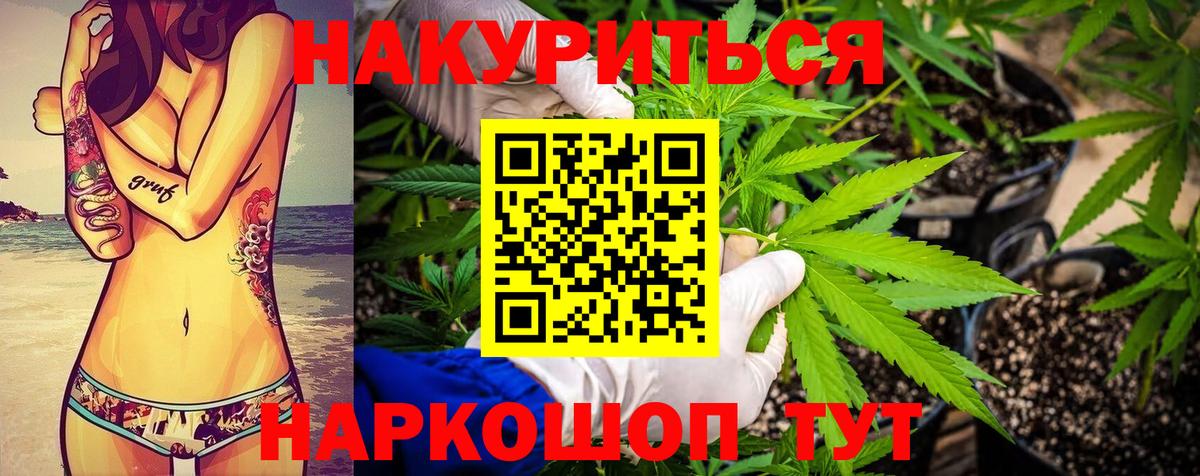 Бошки марихуана MAZAR Мончегорск